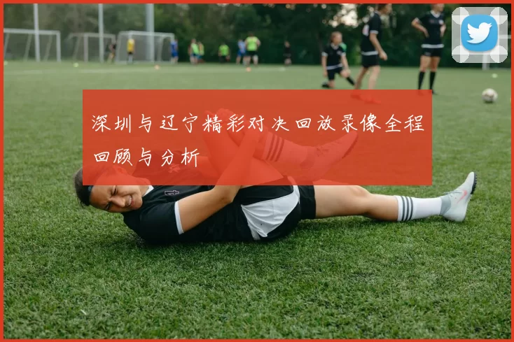 深圳与辽宁精彩对决回放录像全程回顾与分析