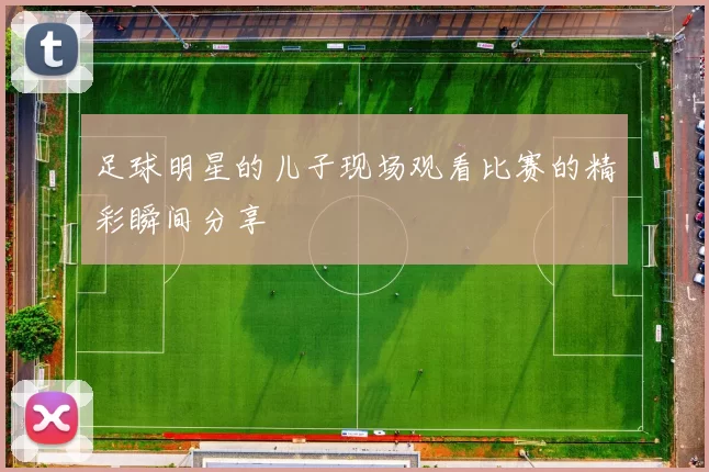 足球明星的儿子现场观看比赛的精彩瞬间分享