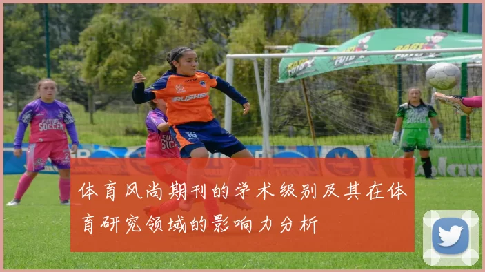 体育风尚期刊的学术级别及其在体育研究领域的影响力分析